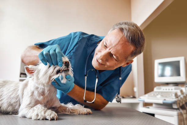 Best Emergency Tooth Extraction in Walker, LA